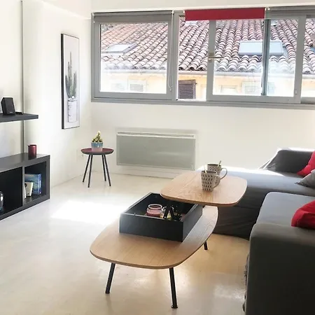 Loft Sous Les Toits Lumineux - Capitole-daurade-esquirol - Wifi Apartment Toulouse